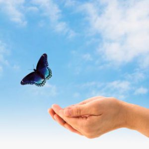 Мастер-класс "Я - свободен! Или как избавиться от манипуляций собой?"